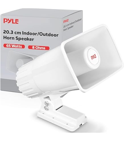 Amazon.co.jp: PHONIC フォニック aSK10 / PA Speaker (PAスピーカー